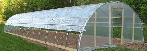 Sera �rt�ler